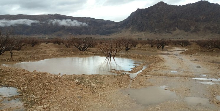 وزش باد و کاهش آلودگی هوای تهران از بعدازظهر فردا/برف و باران در غرب کشور