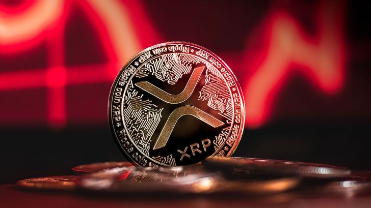 نویسنده مشهور: ریپل هرگز موفق نخواهد شد و توکن XRP کاربرد واقعی ندارد!