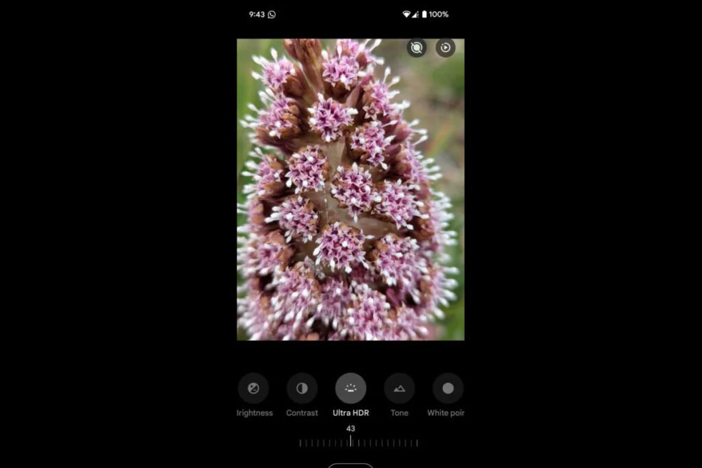 google-photos-ultra-hdr-editing-feature-2-1024x683-1 Ultra HDR